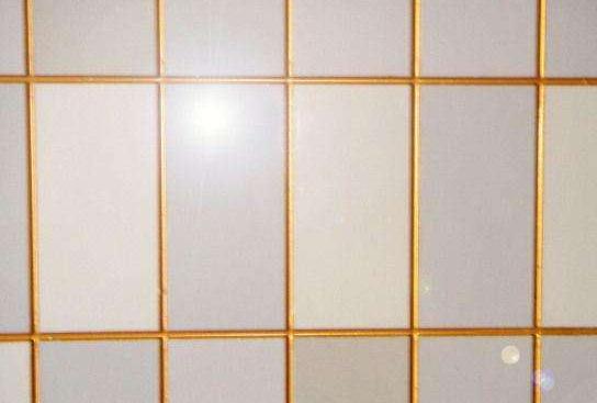 安裝馬桶用玻璃膠還是美縫劑好？(圖1)