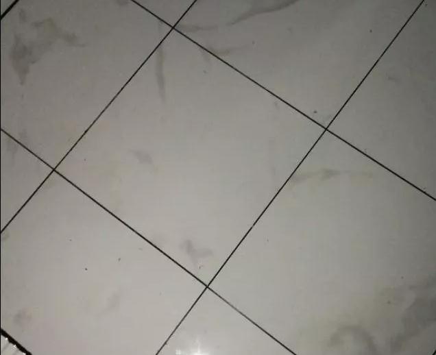 白色瓷磚配什么顏色美縫